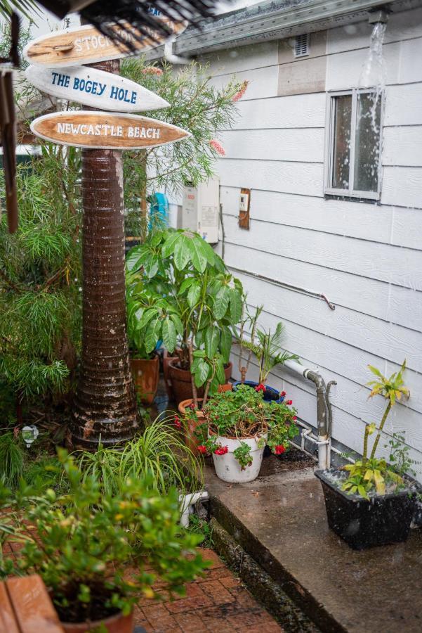 Backpackers Newcastle Hostel Εξωτερικό φωτογραφία